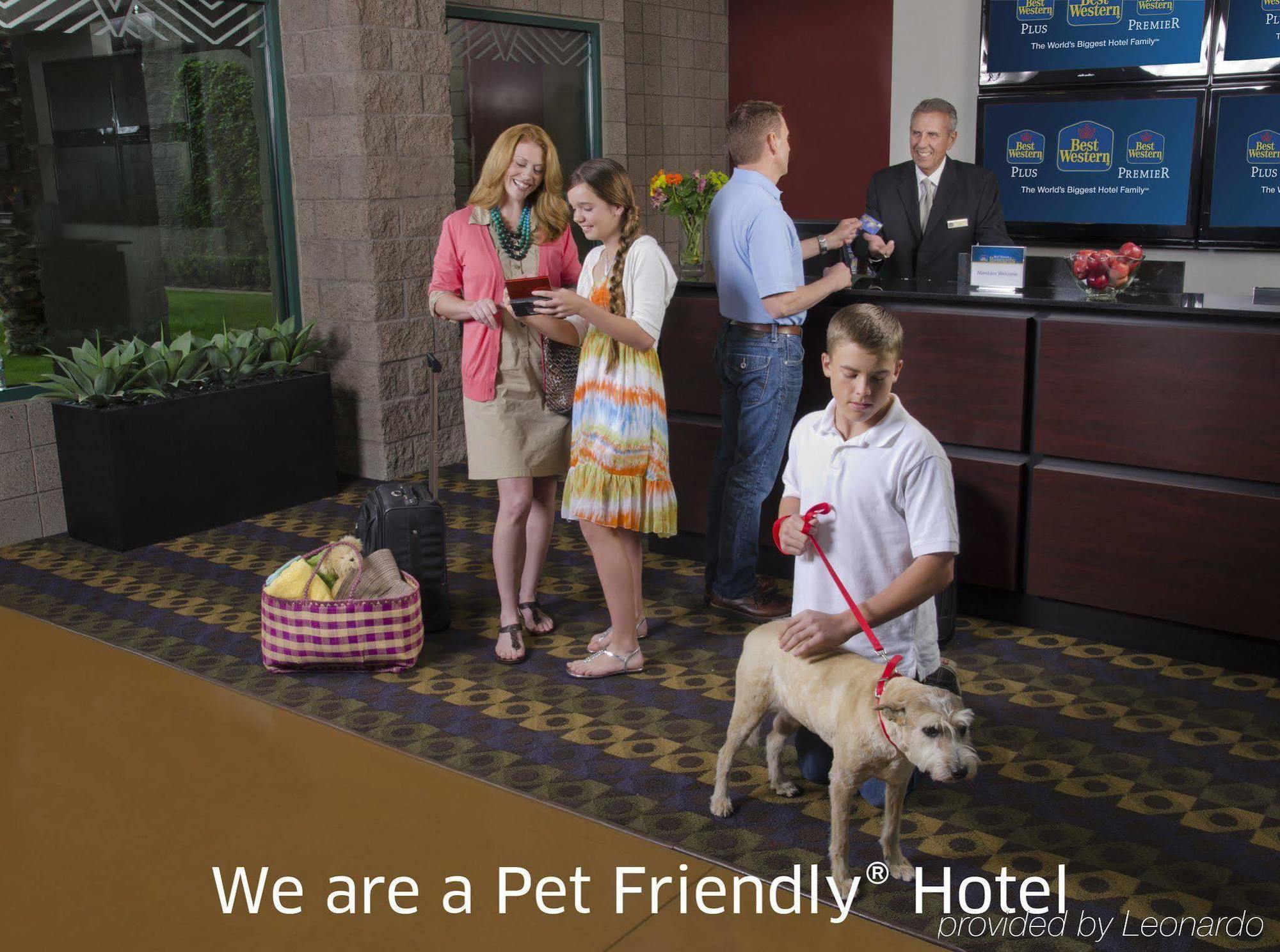 Best Western Plus Lytle Inn And Suites Exterior photo